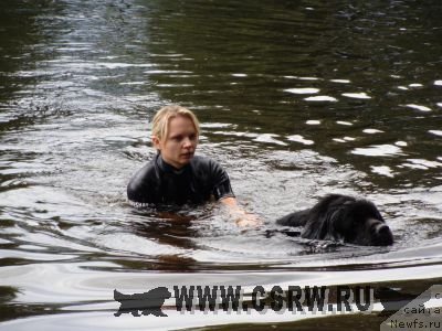 Фото: ньюфаундленд Smigar Pantiak Premium (Смигар Пантиак Премиум), Viktoriya Samonova (Виктория Самонова)