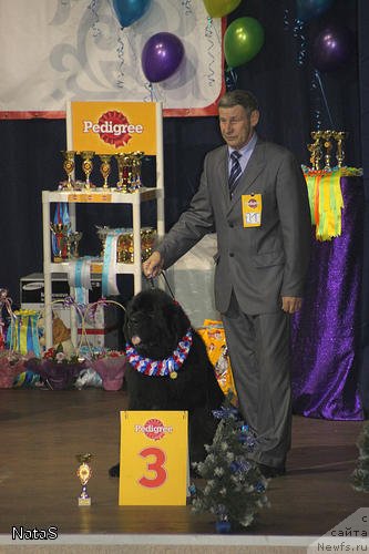 Фотография № 55543