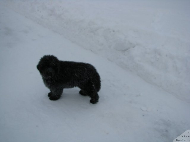 Фотография № 55545