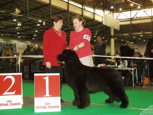 Фотография № 55579