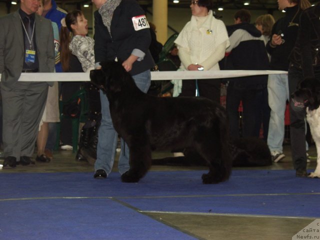 Фотография № 55580