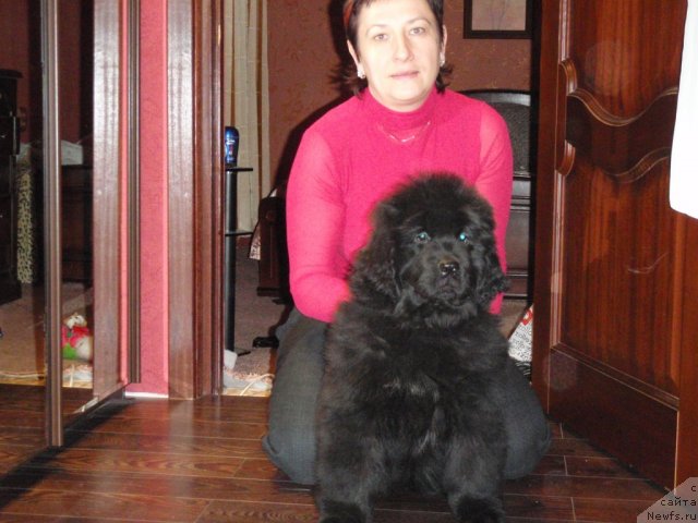 Фото: АК Оpen soul