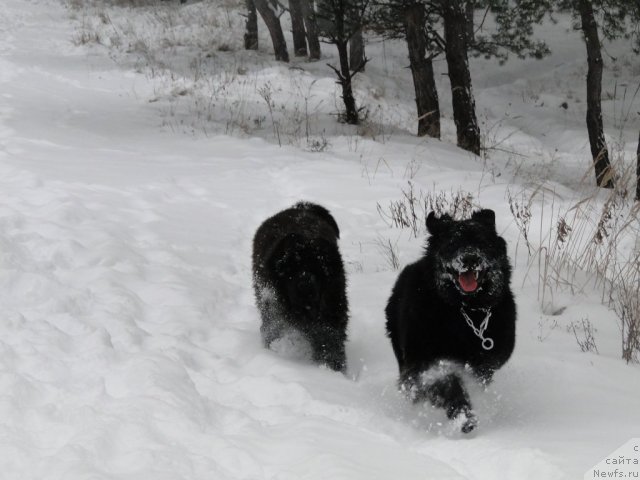 Фото: Tat'yana Hramenkova (Татьяна Храменкова)