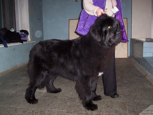 Фотография № 55749