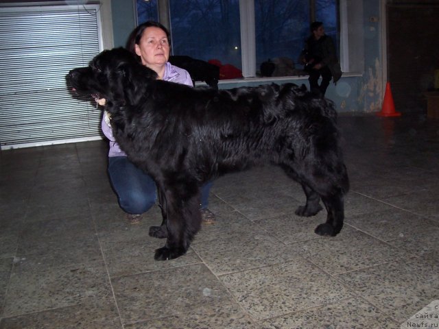 Фотография № 55750