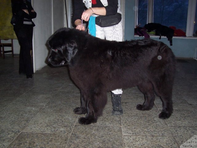 Фотография № 55752