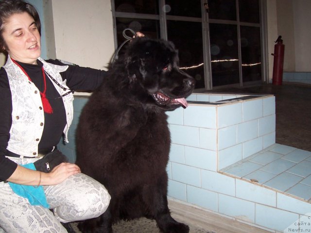 Фотография № 55753