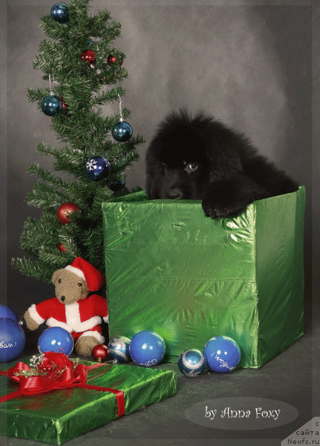 Фотография № 55755