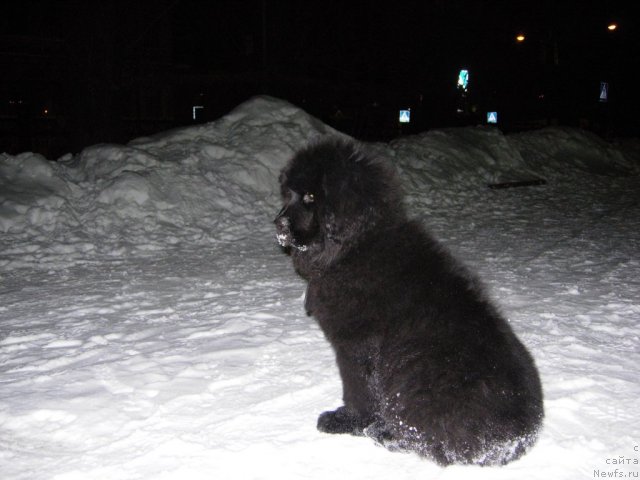 Фотография № 55806