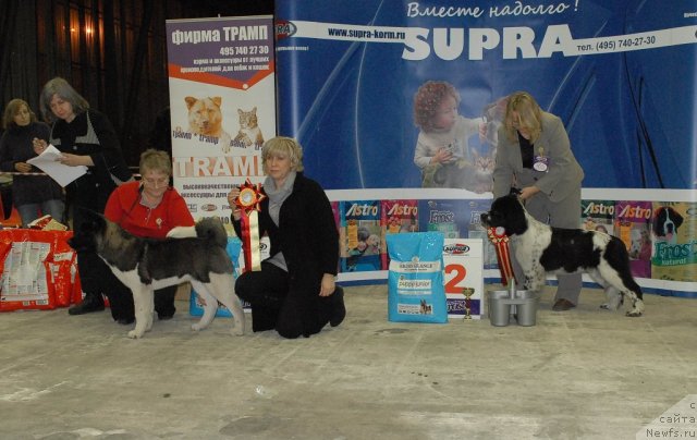 Фотография № 55825