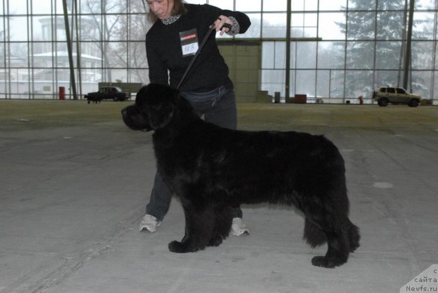 Фотография № 55831