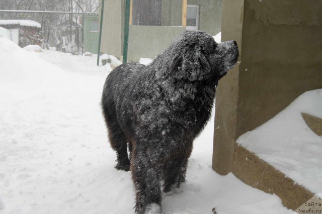 Фотография № 55875