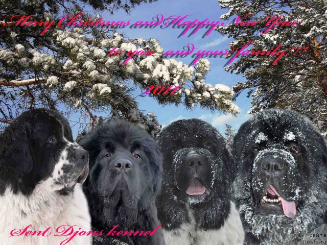 Фотография № 55878