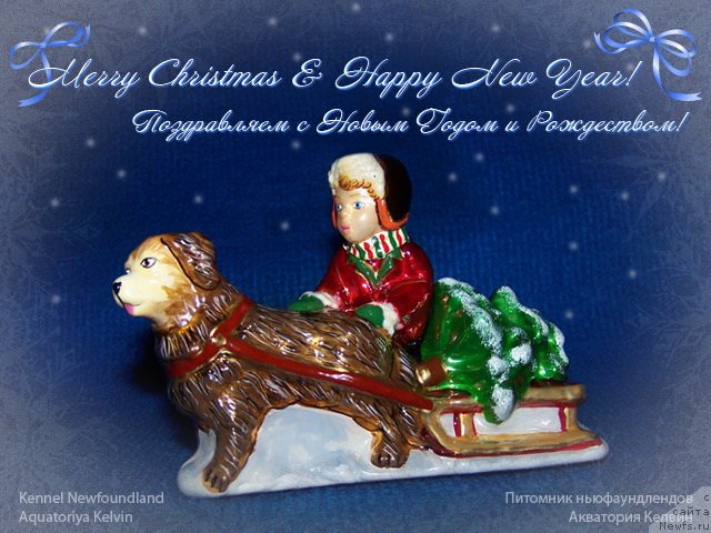 Фотография № 55885