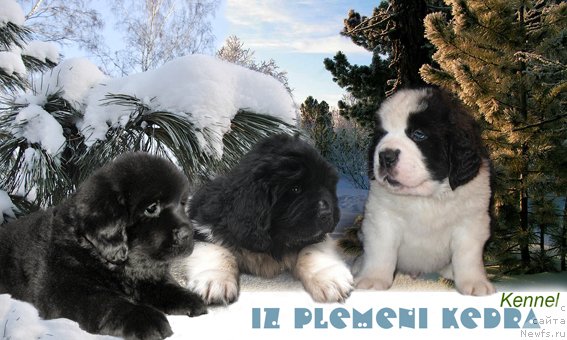 Фотография № 55886