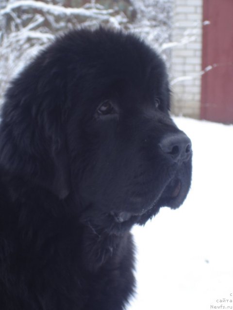 Фотография № 55891