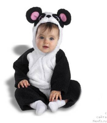 Фотография № 55895