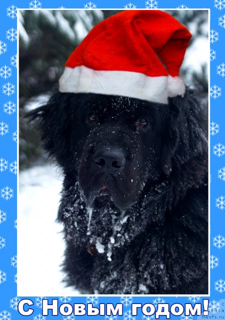 Фотография № 55913