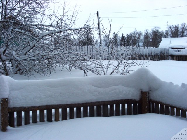 Фотография № 55935