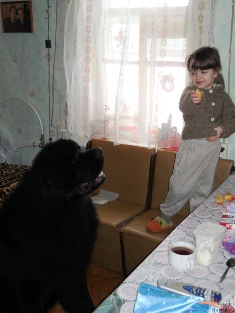 Фотография № 55946