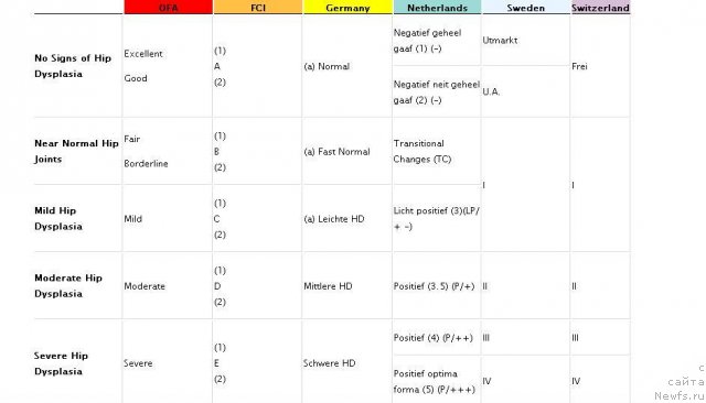 Фотография № 55950