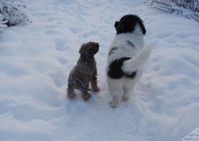 Фотография № 55998