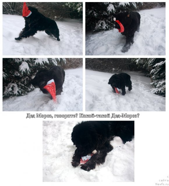 Фото: Гастон де Фуа