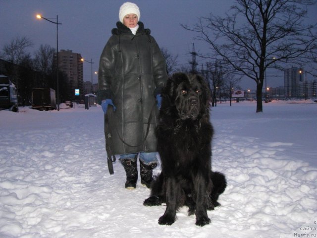 Фотография № 56017