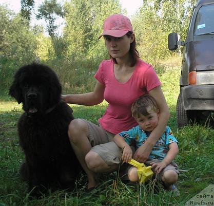 Фото: ньюфаундленд Otvajnyiy Ryicar' ot Sibirskogo Medvedya (Отважный Рыцарь от Сибирского Медведя), Elena Grigor'eva (Елена Григорьева)