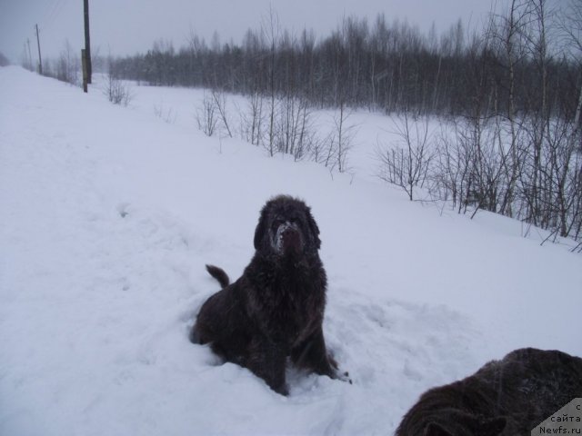 Фотография № 56084