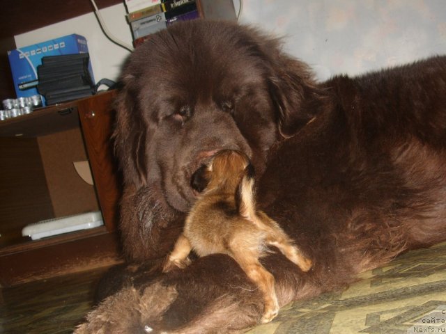 Фотография № 56101