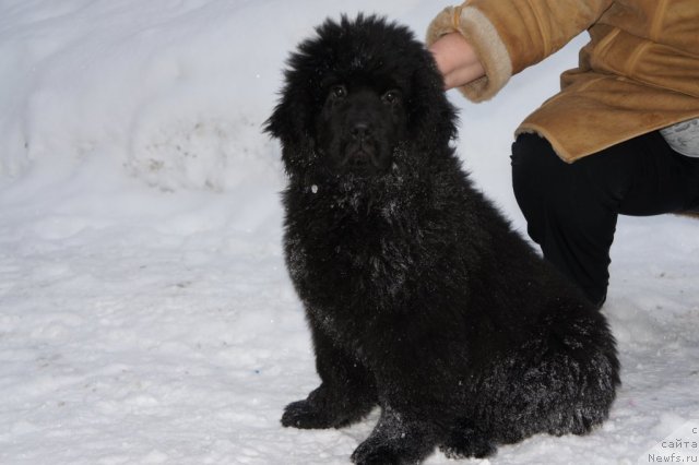 Фотография № 56112