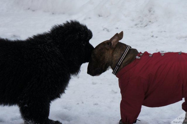 Фотография № 56115