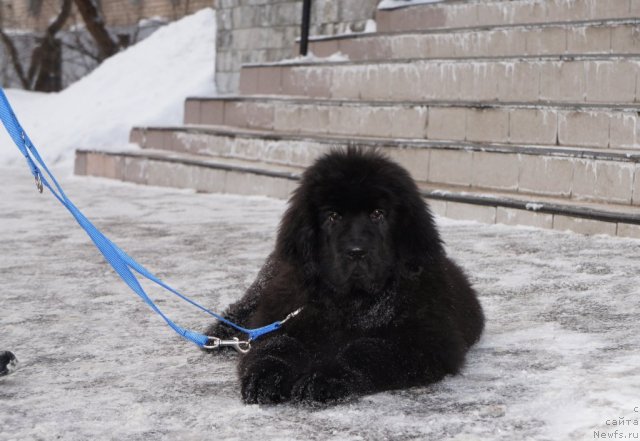 Фотография № 56123