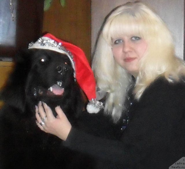 Фото: ньюфаундленд CHudnaya Krasavica (Чудная Красавица), Anna Portnyakova (Анна Портнякова)