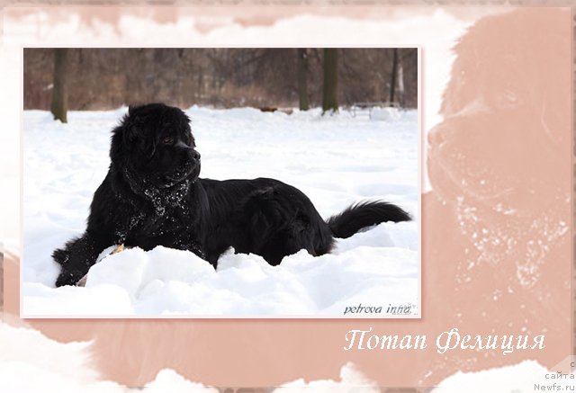 Фотография № 56136