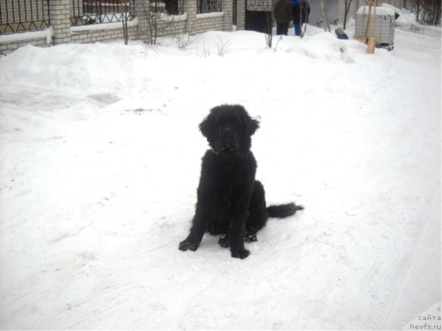 Фотография № 56142