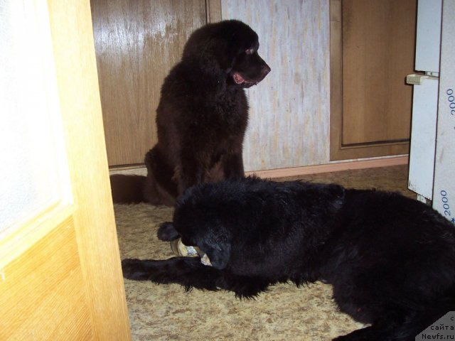 Фотография № 56148