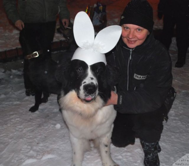 Фотография № 56190