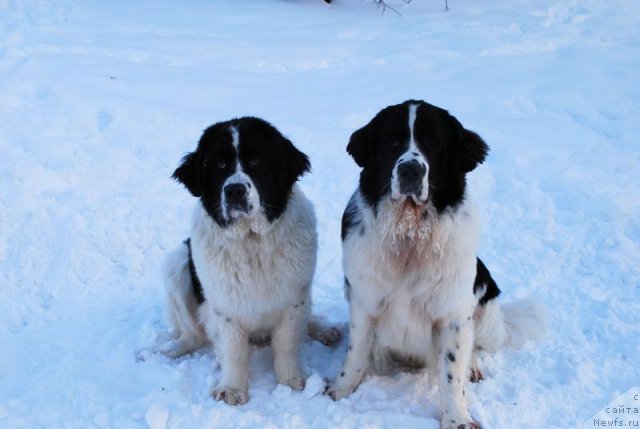 Фотография № 56192