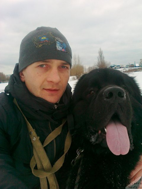 Фото: ньюфаундленд Akvatoriya Kelvin Kuindji (Акватория Келвин Куинджи)