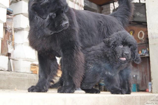 Фото: [d8594]и София