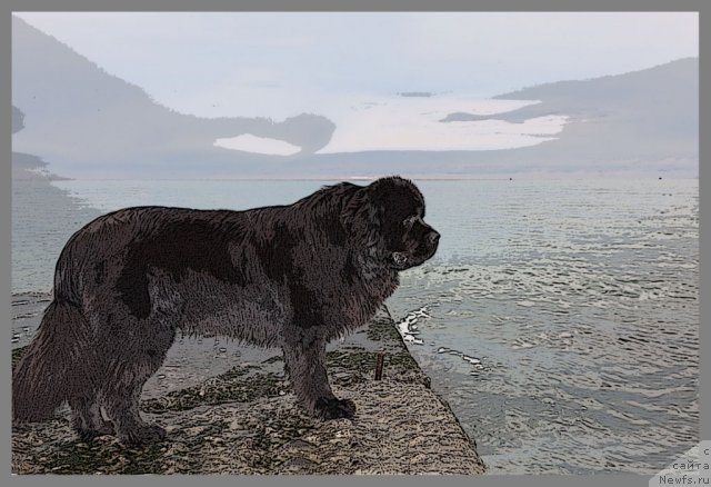 Фотография № 56240