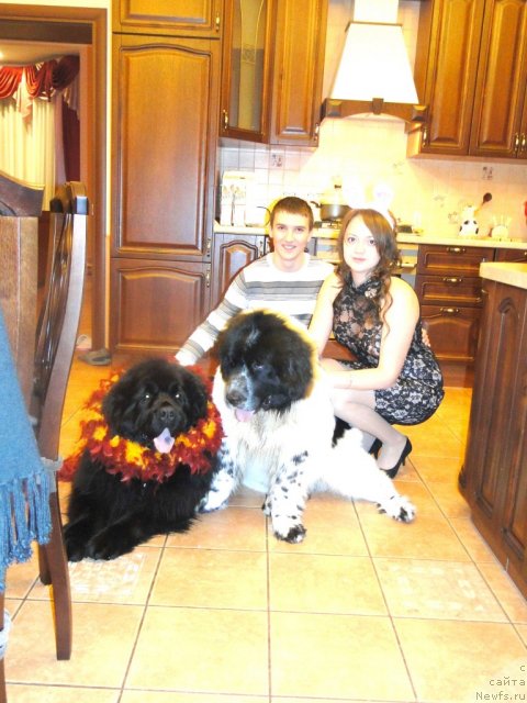 Фотография № 56243