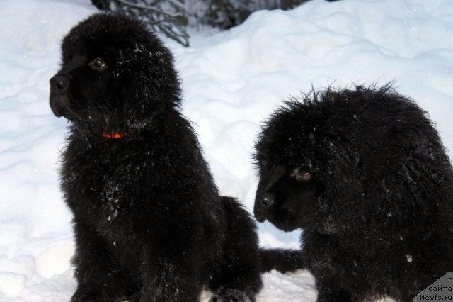 Фотография № 56280