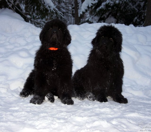 Фотография № 56281