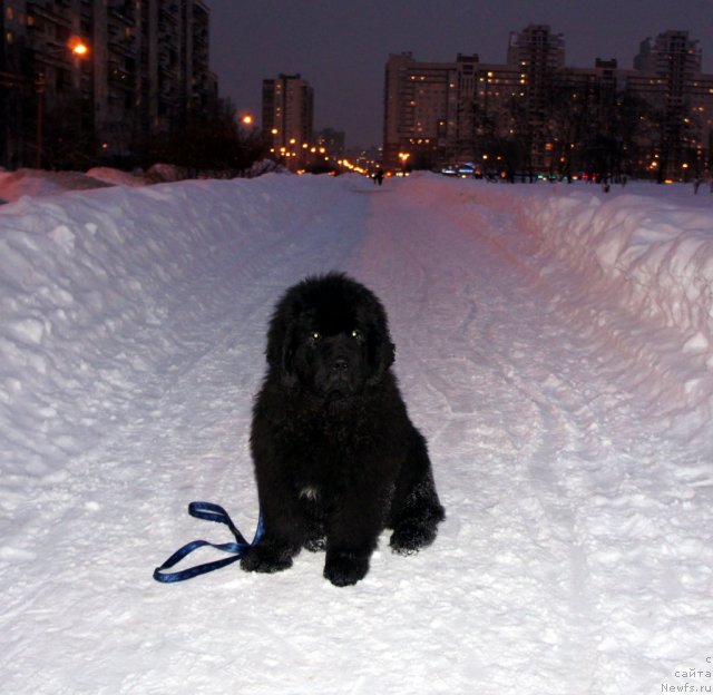 Фотография № 56283