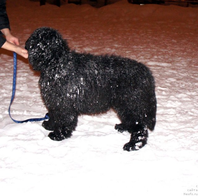 Фотография № 56290