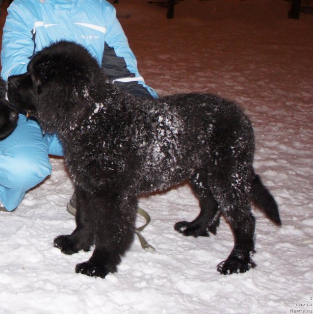 Фотография № 56302