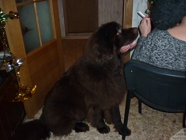 Фотография № 56363